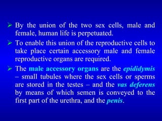 <ul><li>By the union of the two sex cells, male and female, human life is perpetuated. </li></ul><ul><li>To enable this un...