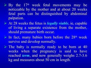 <ul><li>By the 17 th  week fetal movements may be noticeable by the mother and at about 20 weeks fetal parts can be distin...