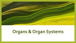 Organs & Organ Systems
 
