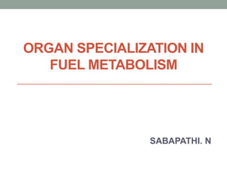 ORGAN SPECIALIZATION IN
FUEL METABOLISM
SABAPATHI. N
 