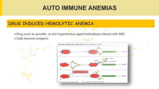 AUTO IMMUNE ANEMIAS
DRUG INDUCED HEMOLYTIC ANEMIA
Drug such as pencillin, or anti hypertensive agent methyldopa interact with RBC
Cells become antigenic
 