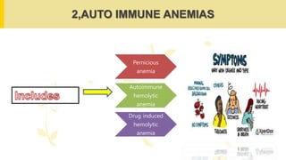 2,AUTO IMMUNE ANEMIAS
Pernicious
anemia
Autoimmune
hemolytic
anemia
Drug induced
hemolytic
anemia
 