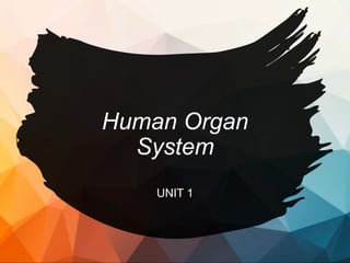 Human Organ
System
UNIT 1
 