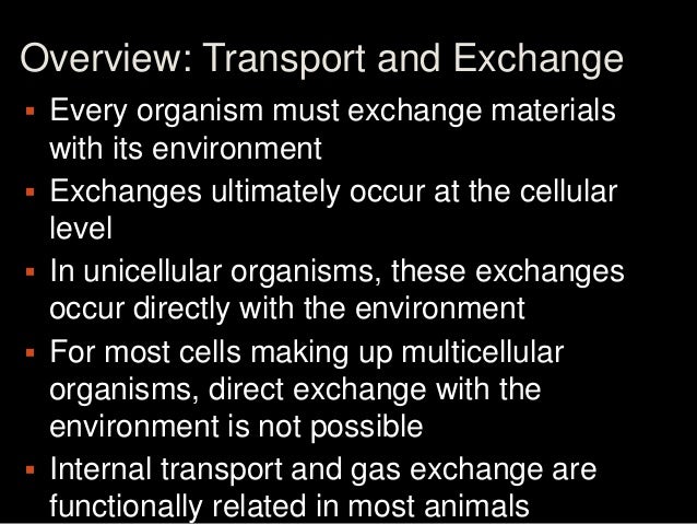 Organ system for internal transport (circulatory system)