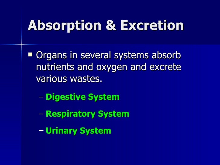 organ system overview organ system overview