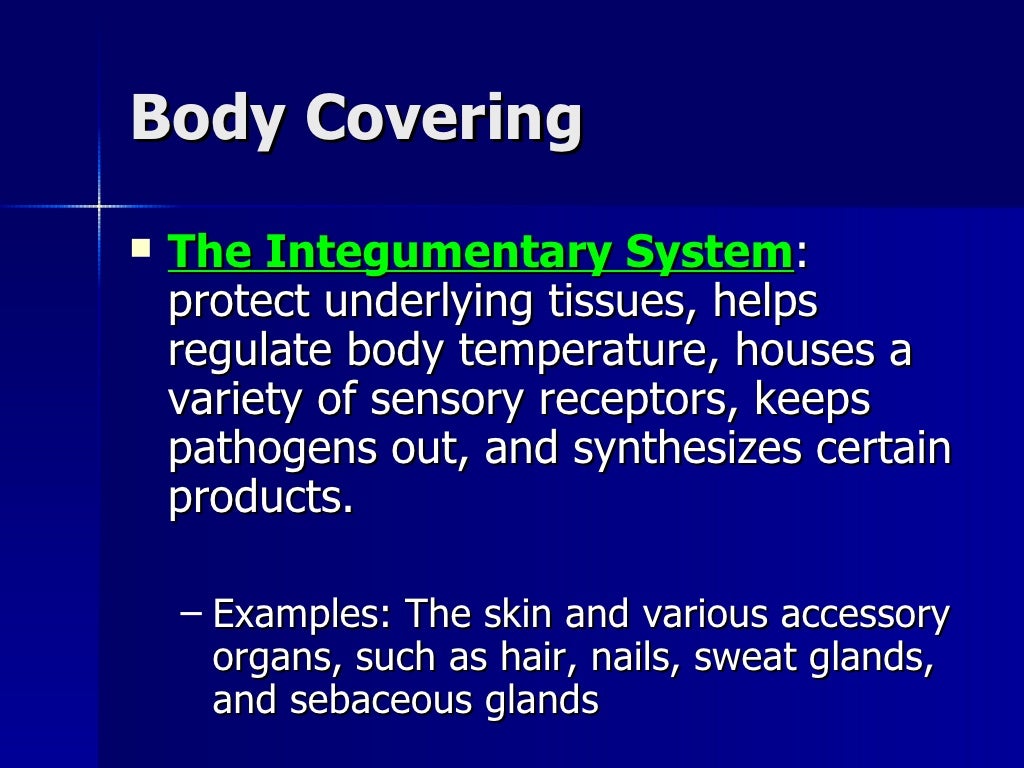 Organ System Overview