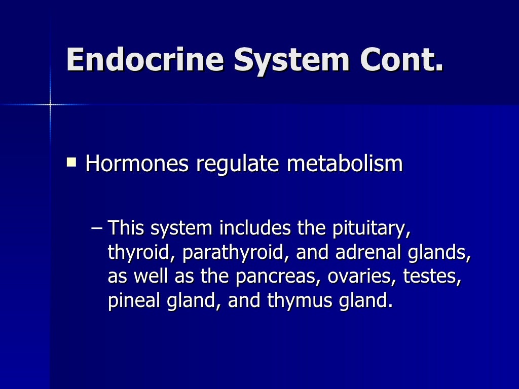 Organ System Overview