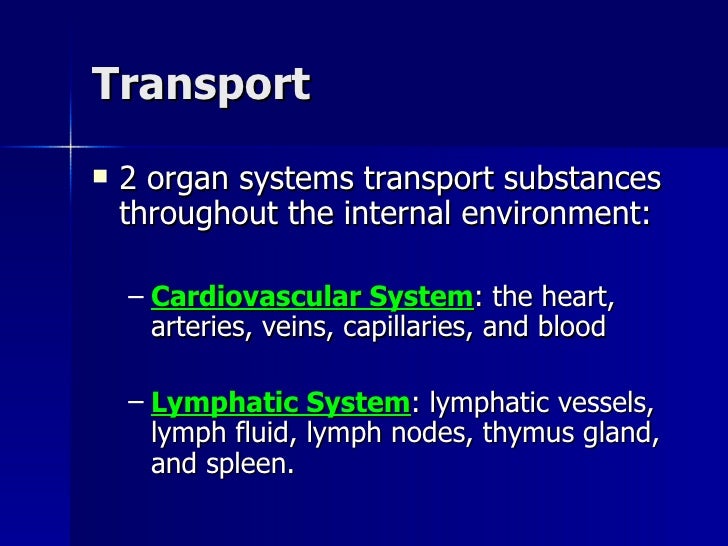 organ system overview
