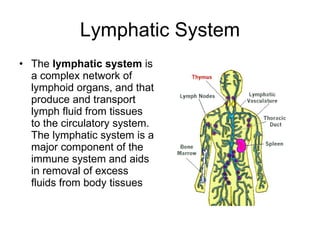 Lymphatic System The  lymphatic system  is a complex network of lymphoid organs, and that produce and transport lymph fluid from tissues to the circulatory system. The lymphatic system is a major component of the immune system and aids in removal of excess fluids from body tissues  