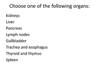 Choose one of the following organs:
Kidneys
Liver
Pancreas
Lymph nodes
Gallbladder
Trachea and esophagus
Thyroid and thymus
Spleen
 
