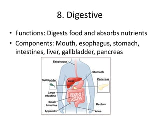 8. Digestive
• Functions: Digests food and absorbs nutrients
• Components: Mouth, esophagus, stomach,
intestines, liver, gallbladder, pancreas
 