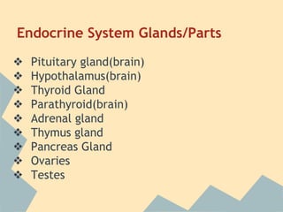Endocrine System Glands/Parts
❖
❖
❖
❖
❖
❖
❖
❖
❖

Pituitary gland(brain)
Hypothalamus(brain)
Thyroid Gland
Parathyroid(brain)
Adrenal gland
Thymus gland
Pancreas Gland
Ovaries
Testes

 