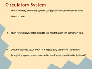 Circulatory System
1.

The pulmonary circulatory system (lungs) sends oxygen deprived blood
from the heart

2.

Then returns oxygenated blood to the heart through the pulmonary vein.

3.

Oxygen-deprived blood enters the right artery of the heart and flows
through the right atrioventricular valve into the right ventricle (in the heart.)

 