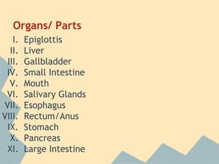 Organs/ Parts
I.
II.
III.
IV.
V.
VI.
VII.
VIII.
IX.
X.
XI.

Epiglottis
Liver
Gallbladder
Small Intestine
Mouth
Salivary Glands
Esophagus
Rectum/Anus
Stomach
Pancreas
Large Intestine

 
