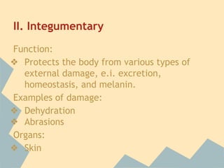 II. Integumentary
Function:
❖ Protects the body from various types of
external damage, e.i. excretion,
homeostasis, and melanin.
Examples of damage:
❖ Dehydration
❖ Abrasions
Organs:
❖ Skin

 