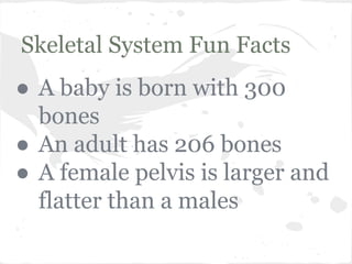 Skeletal System Fun Facts
● A baby is born with 300
bones
● An adult has 206 bones
● A female pelvis is larger and
flatter than a males

 