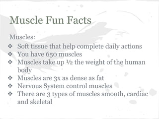 Muscle Fun Facts
Muscles:
❖ Soft tissue that help complete daily actions
❖ You have 650 muscles
❖ Muscles take up ½ the weight of the human
body
❖ Muscles are 3x as dense as fat
❖ Nervous System control muscles
❖ There are 3 types of muscles smooth, cardiac
and skeletal

 