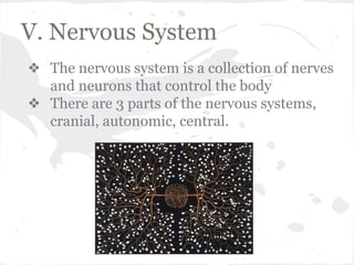V. Nervous System
❖ The nervous system is a collection of nerves
and neurons that control the body
❖ There are 3 parts of the nervous systems,
cranial, autonomic, central.

 