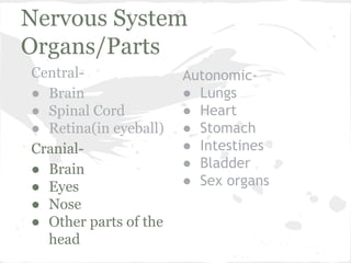 Nervous System
Organs/Parts
Central● Brain
● Spinal Cord
● Retina(in eyeball)
Cranial● Brain
● Eyes
● Nose
● Other parts of the
head

Autonomic● Lungs
● Heart
● Stomach
● Intestines
● Bladder
● Sex organs

 