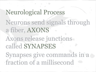 Neurological Process
Neurons send signals through
a fiber, AXONS
Axons release junctions
called SYNAPSES
Synapses give commands in a
fraction of a millisecond

 