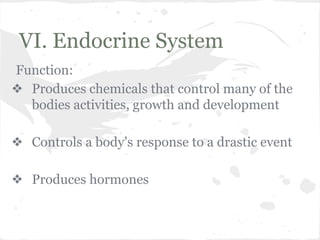 VI. Endocrine System
Function:
❖ Produces chemicals that control many of the
bodies activities, growth and development
❖ Controls a body’s response to a drastic event
❖ Produces hormones

 