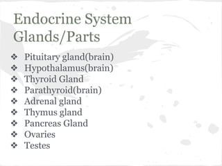 Endocrine System
Glands/Parts
❖
❖
❖
❖
❖
❖
❖
❖
❖

Pituitary gland(brain)
Hypothalamus(brain)
Thyroid Gland
Parathyroid(brain)
Adrenal gland
Thymus gland
Pancreas Gland
Ovaries
Testes

 