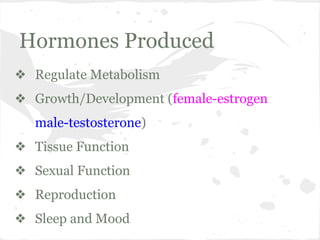 Hormones Produced
❖ Regulate Metabolism
❖ Growth/Development (female-estrogen
male-testosterone)
❖ Tissue Function
❖ Sexual Function
❖ Reproduction
❖ Sleep and Mood

 