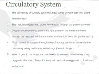 Circulatory System
1.

The pulmonary circulatory system (lungs) sends oxygen deprived blood
from the heart

2.

Then returns oxygenated blood to the heart through the pulmonary vein.

3.

Oxygen-deprived blood enters the right artery of the heart and flows
through the right atrioventricular valve into the right ventricle (in the heart.)

4.

From there it is pumped through the pulmonary semilunar valve into the
pulmonary artery on its way to the lungs (heart to lungs.)

5.

When it gets to the lungs, carbon dioxide is released from the blood and
oxygen is absorbed. The pulmonary vein sends the oxygen-rich blood back
to the heart.

 