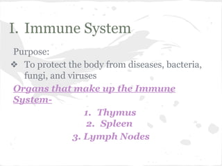 I. Immune System
Purpose:
❖ To protect the body from diseases, bacteria,
fungi, and viruses
Organs that make up the Immune
System1. Thymus
2. Spleen
3. Lymph Nodes

 