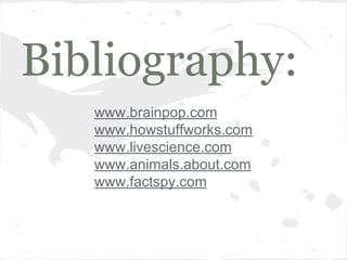 Bibliography:
www.brainpop.com
www.howstuffworks.com
www.livescience.com
www.animals.about.com
www.factspy.com

 
