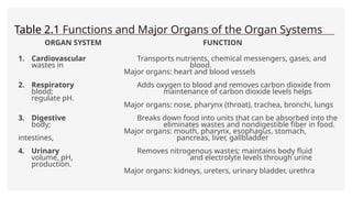 Organ Systems and Cavities. powerpoint presentation | PPTX