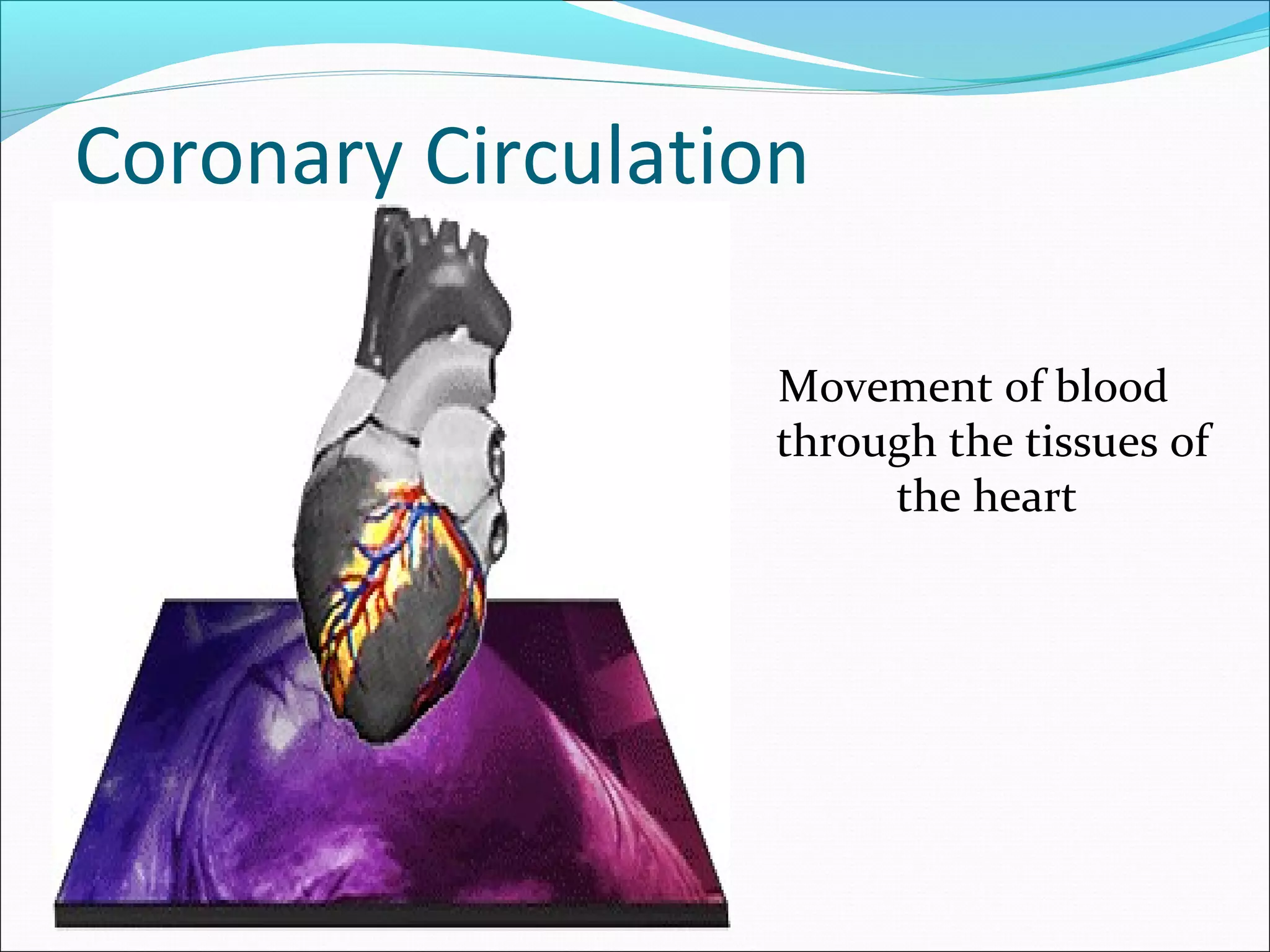 Coronary Circulation
Movement of blood
through the tissues of
the heart

 