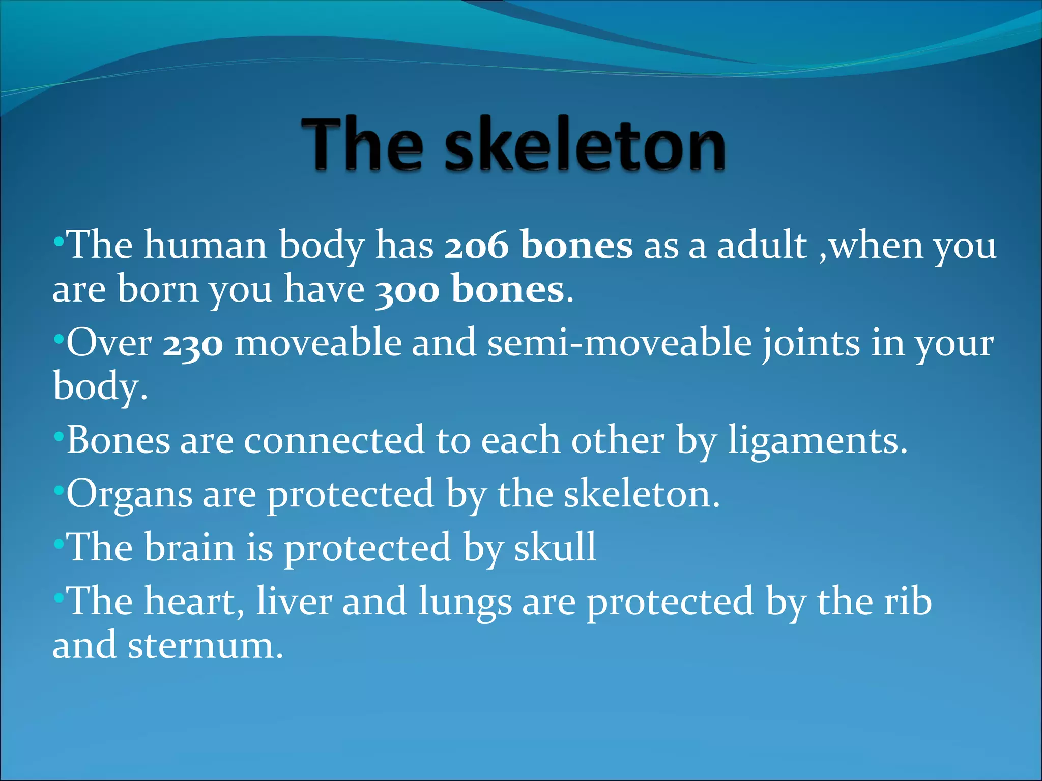 •The human body has 206 bones as a adult ,when you

are born you have 300 bones.
•Over 230 moveable and semi-moveable joints in your
body.
•Bones are connected to each other by ligaments.
•Organs are protected by the skeleton.
•The brain is protected by skull
•The heart, liver and lungs are protected by the rib
and sternum.

 