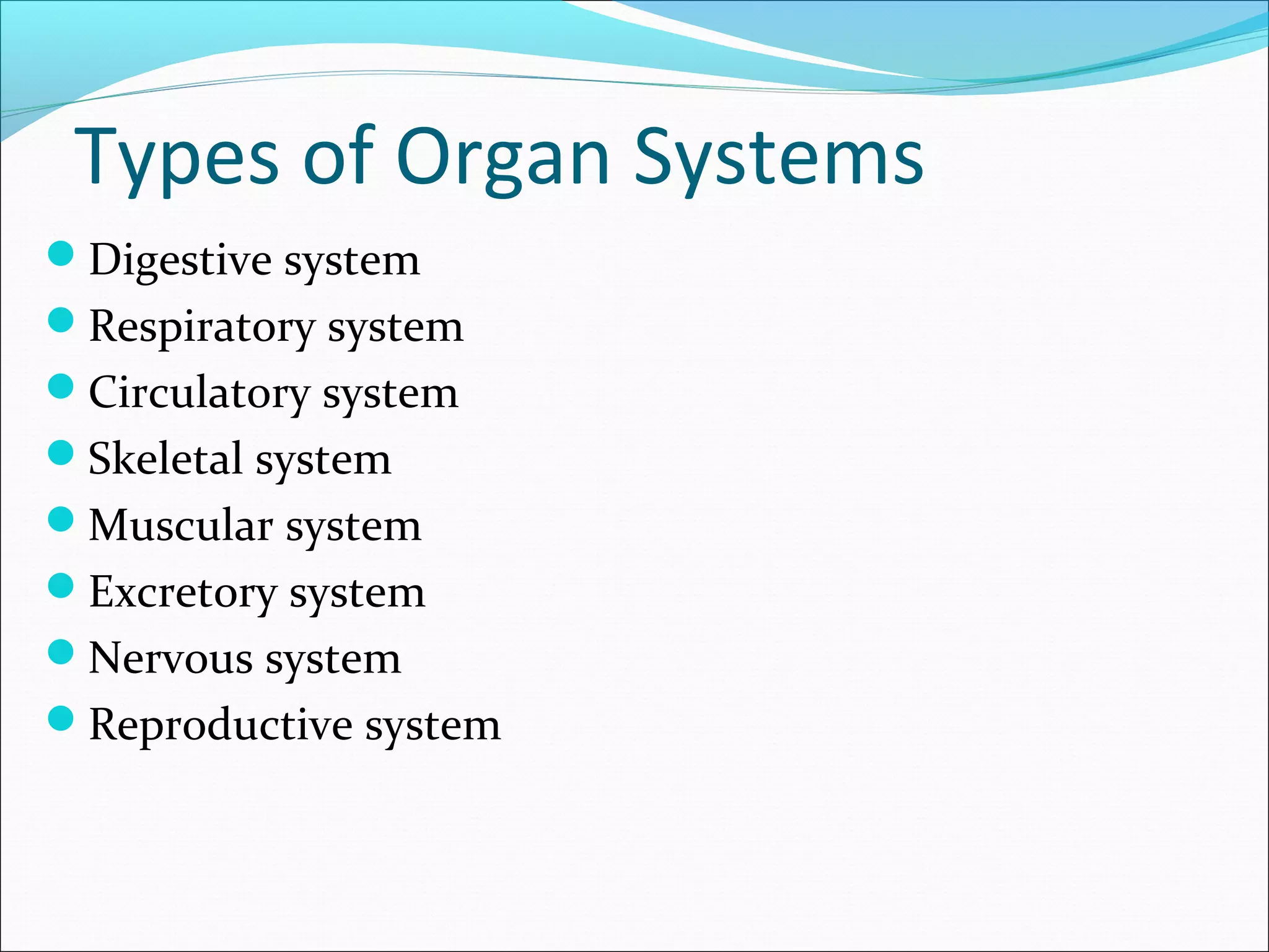 Types of Organ Systems
Digestive system
Respiratory system
Circulatory system
Skeletal system
Muscular system
Excretory system
Nervous system
Reproductive system

 