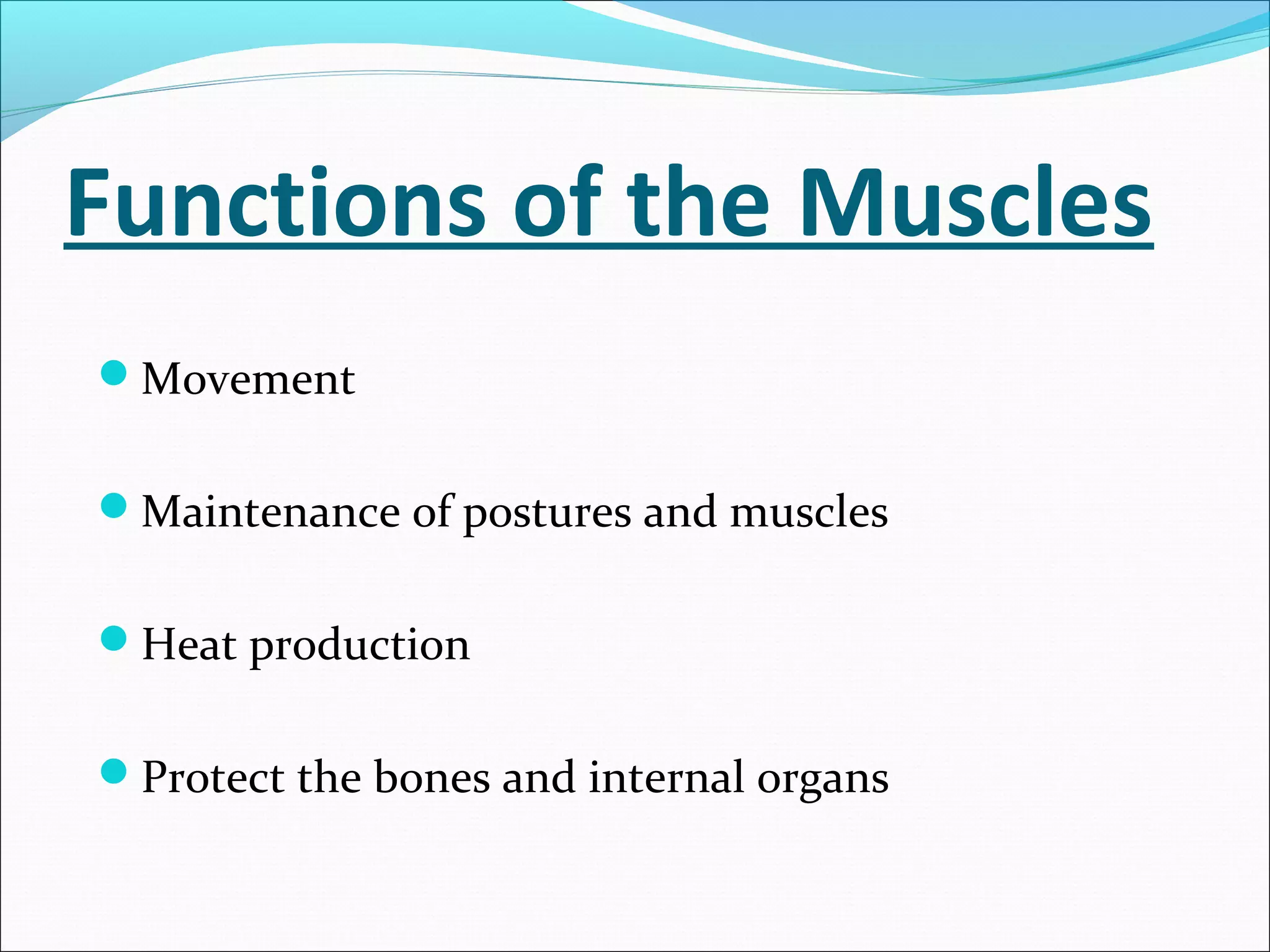 Functions of the Muscles
Movement
Maintenance of postures and muscles
Heat production
Protect the bones and internal organs

 