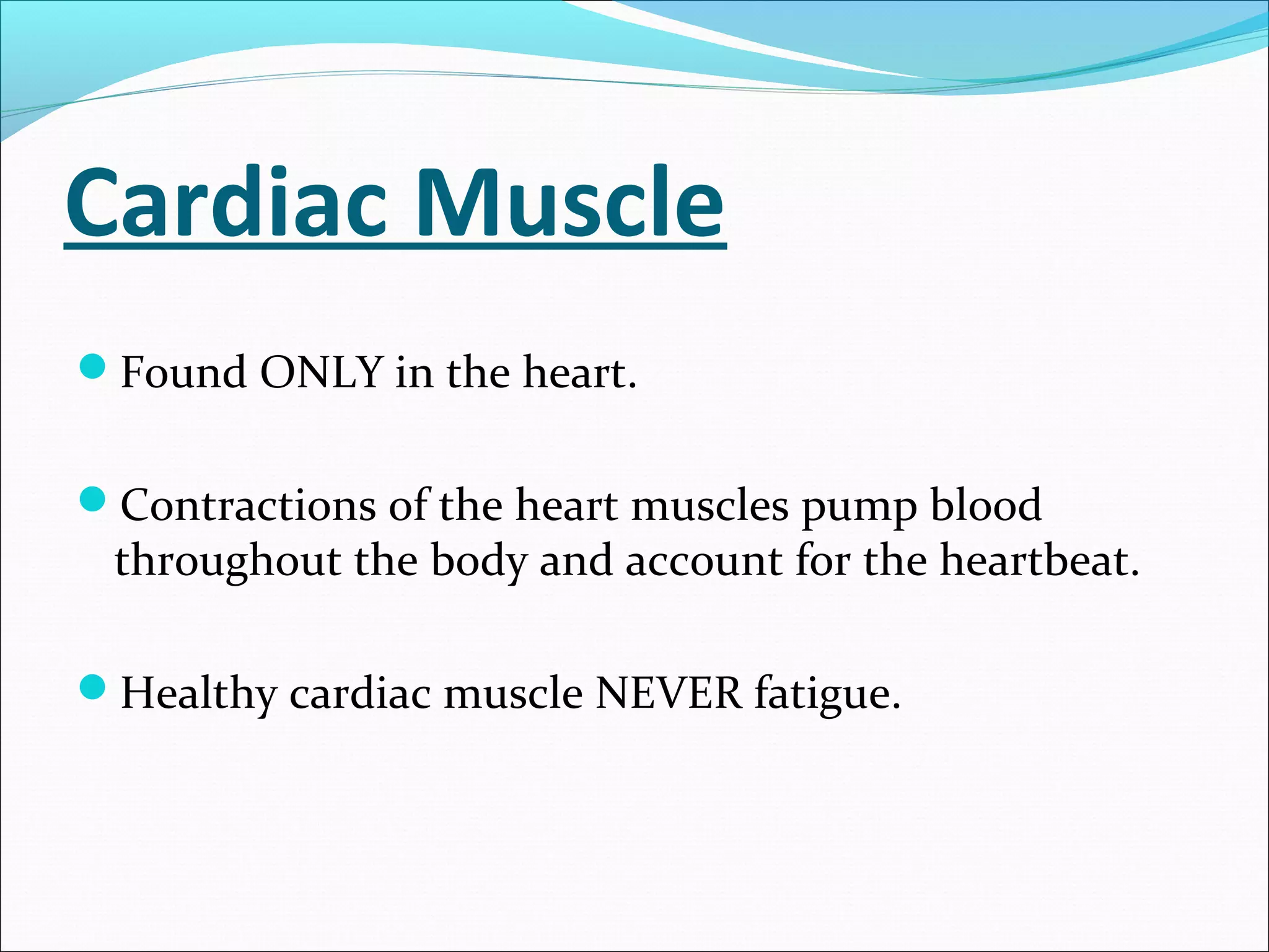 Cardiac Muscle
Found ONLY in the heart.
Contractions of the heart muscles pump blood

throughout the body and account for the heartbeat.

Healthy cardiac muscle NEVER fatigue.

 