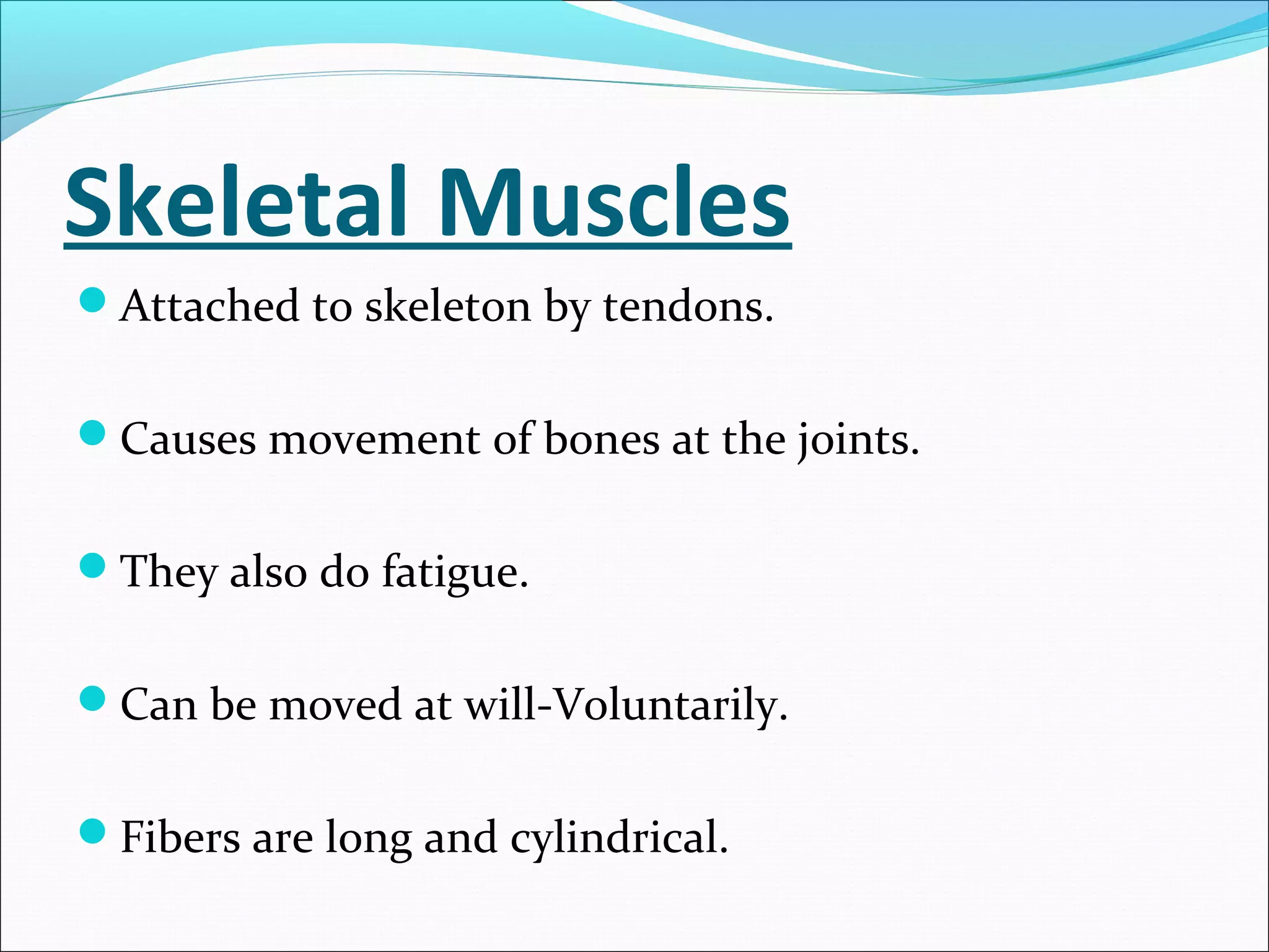 Skeletal Muscles
Attached to skeleton by tendons.
Causes movement of bones at the joints.
They also do fatigue.
Can be moved at will-Voluntarily.
Fibers are long and cylindrical.

 