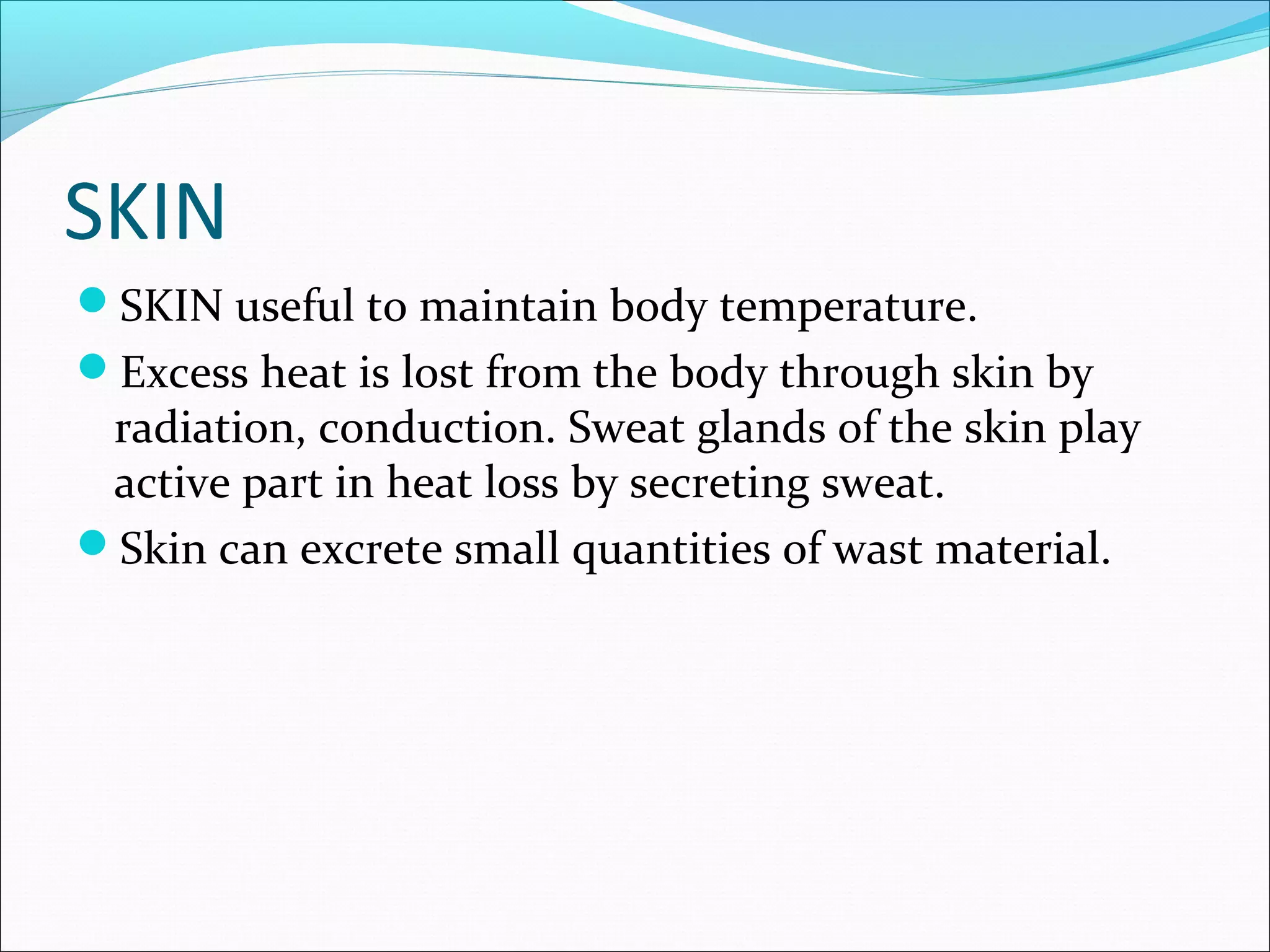 SKIN
SKIN useful to maintain body temperature.
Excess heat is lost from the body through skin by

radiation, conduction. Sweat glands of the skin play
active part in heat loss by secreting sweat.
Skin can excrete small quantities of wast material.

 