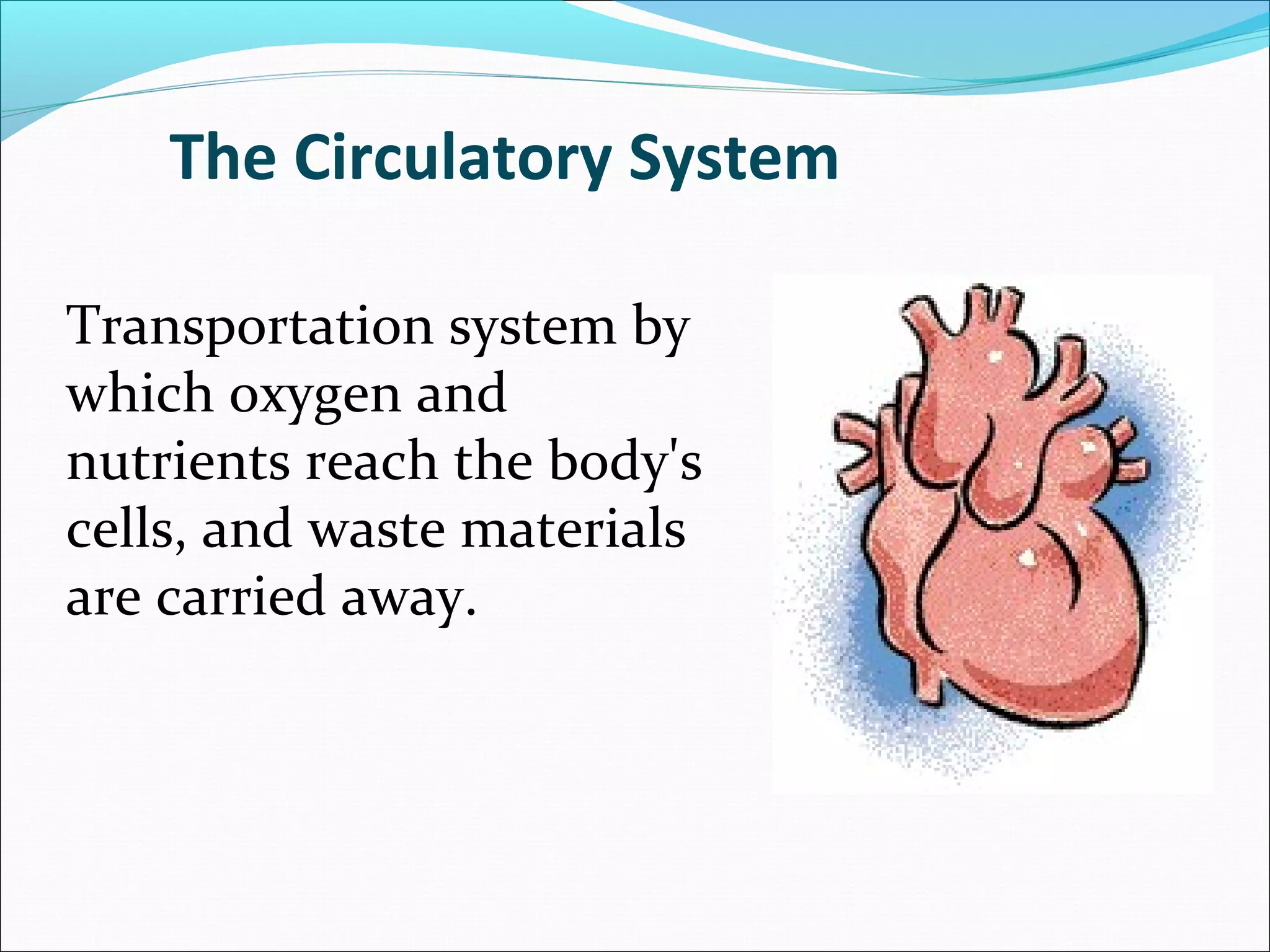 The Circulatory System
Transportation system by
which oxygen and
nutrients reach the body's
cells, and waste materials
are carried away.

 