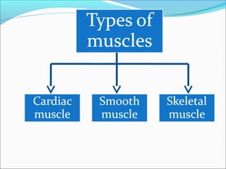 Organ systems of human body | PPT