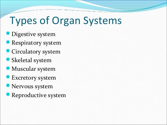Organ systems of human body