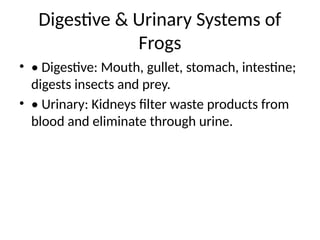 Filter Gullet Organ_Systems_Frogs_Birds.pptx
