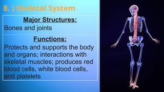 Major Structures:
Bones and joints
Functions:
Protects and supports the body
and organs; interactions with
skeletal muscles; produces red
blood cells, white blood cells,
and platelets
8. ) Skeletal System
 