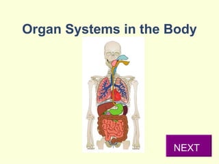 Organ Systems in the Body NEXT 