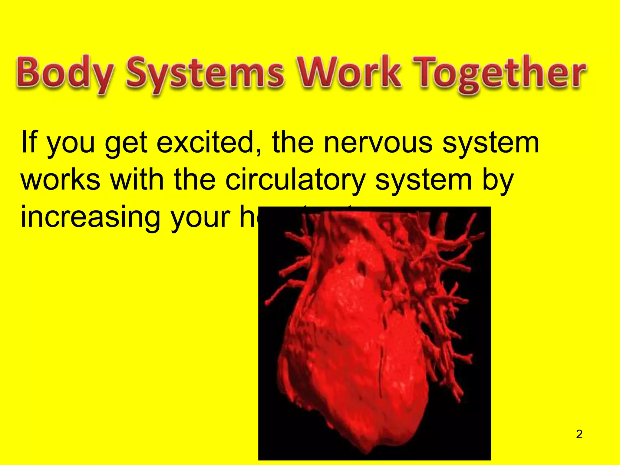 Organ systems of the body and their functions | PPT