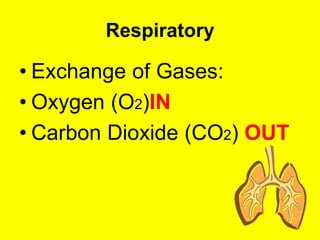 O2 In Co2 Out Organ systems of the body and their functions | PPT