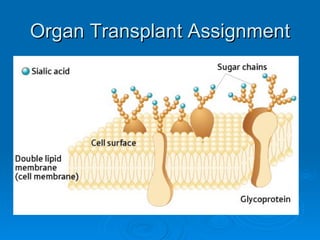 Organ Transplant Assignment 