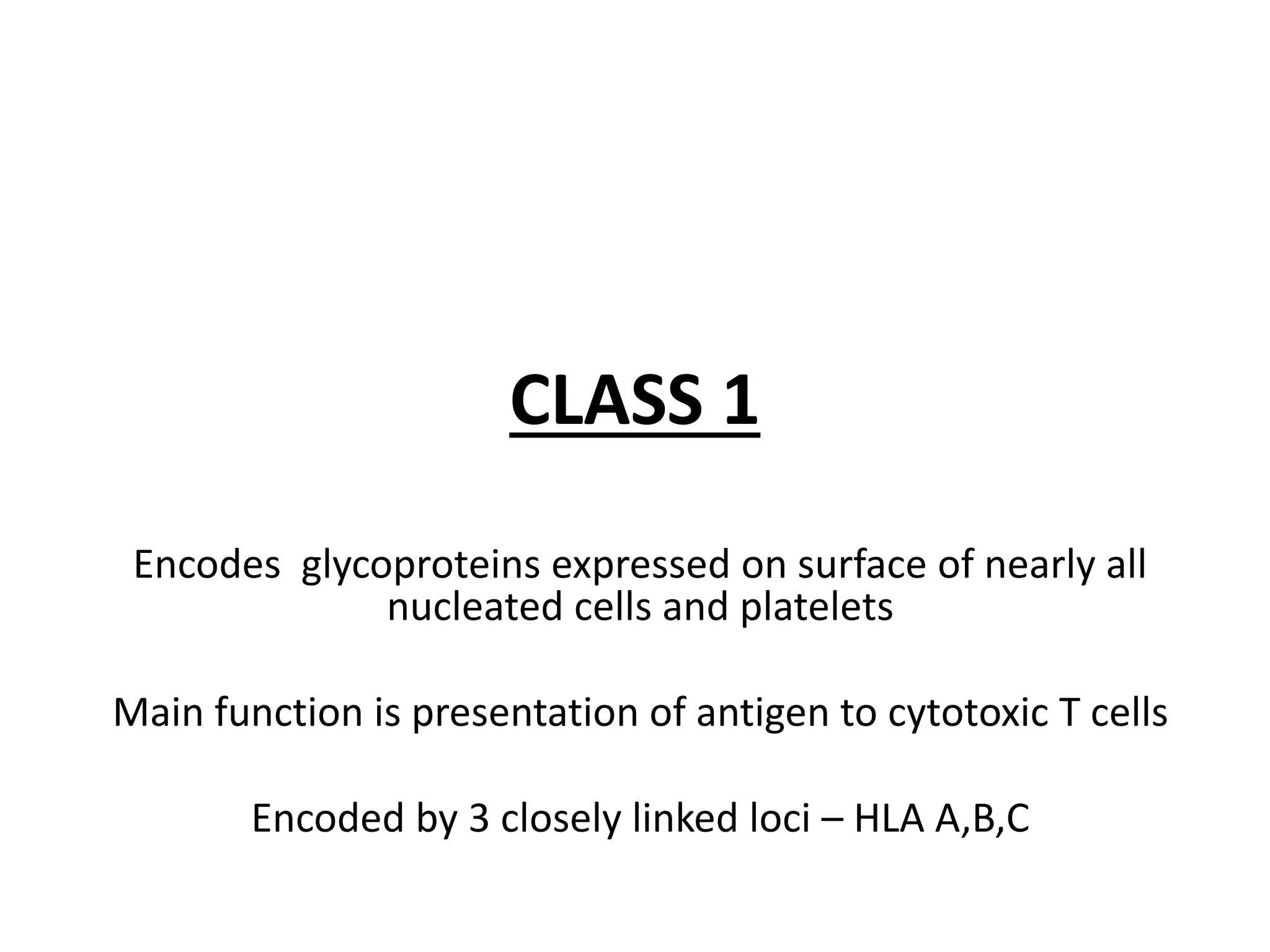 CLASS 1
Encodes glycoproteins expressed on surface of nearly all
nucleated cells and platelets
Main function is presentation of antigen to cytotoxic T cells
Encoded by 3 closely linked loci – HLA A,B,C
 