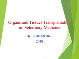 Organs and Tissues Transplantation
in Veterinary Medicine
By Layth Alkattan
2020
 