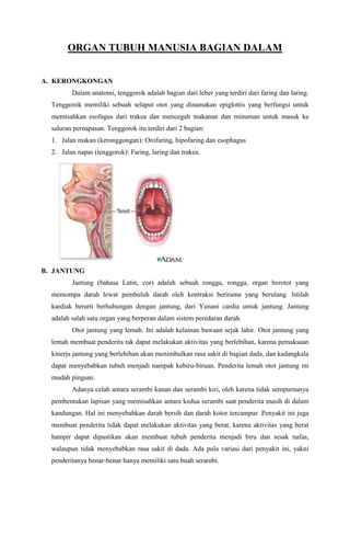 ORGAN TUBUH MANUSIA BAGIAN DALAM
A. KERONGKONGAN
Dalam anatomi, tenggorok adalah bagian dari leher yang terdiri dari faring dan laring.
Tenggorok memiliki sebuah selaput otot yang dinamakan epiglottis yang berfungsi untuk
memisahkan esofagus dari trakea dan mencegah makanan dan minuman untuk masuk ke
saluran pernapasan. Tenggorok itu terdiri dari 2 bagian:
1. Jalan makan (keronggongan): Orofaring, hipofaring dan esophagus
2. Jalan napas (tenggorok): Faring, laring dan trakea.
B. JANTUNG
Jantung (bahasa Latin, cor) adalah sebuah rongga, rongga, organ berotot yang
memompa darah lewat pembuluh darah oleh kontraksi berirama yang berulang. Istilah
kardiak berarti berhubungan dengan jantung, dari Yunani cardia untuk jantung. Jantung
adalah salah satu organ yang berperan dalam sistem peredaran darah.
Otot jantung yang lemah. Ini adalah kelainan bawaan sejak lahir. Otot jantung yang
lemah membuat penderita tak dapat melakukan aktivitas yang berlebihan, karena pemaksaan
kinerja jantung yang berlebihan akan menimbulkan rasa sakit di bagian dada, dan kadangkala
dapat menyebabkan tubuh menjadi nampak kebiru-biruan. Penderita lemah otot jantung ini
mudah pingsan.
Adanya celah antara serambi kanan dan serambi kiri, oleh karena tidak sempurnanya
pembentukan lapisan yang memisahkan antara kedua serambi saat penderita masih di dalam
kandungan. Hal ini menyebabkan darah bersih dan darah kotor tercampur. Penyakit ini juga
membuat penderita tidak dapat melakukan aktivitas yang berat, karena aktivitas yang berat
hampir dapat dipastikan akan membuat tubuh penderita menjadi biru dan sesak nafas,
walaupun tidak menyebabkan rasa sakit di dada. Ada pula variasi dari penyakit ini, yakni
penderitanya benar-benar hanya memiliki satu buah serambi.
 